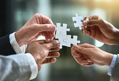 Colaboracion y coordinacion entre socios